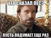 Что сказал пес? Пусть подумает еще раз