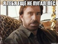 Я тебя ещё не пугал, пёс 