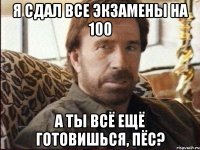 Я сдал все экзамены на 100 А ты всё ещё готовишься, пёс?