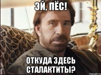 Эй, пёс! Откуда здесь сталактиты?