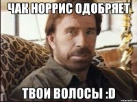 Чак Норрис Одобряет Твои волосы :D