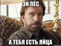 Эй пёс А тебя есть яйца