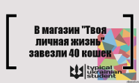 В магазин "Твоя личная жизнь" завезли 40 кошек