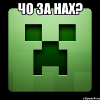 ЧО ЗА НАХ? 