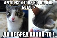 а что если Толя Коротун не ботан ? Да не бред какой-то !