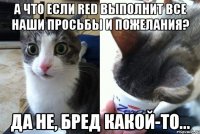 А что если RED выполнит все наши просьбы и пожелания? Да не, бред какой-то...