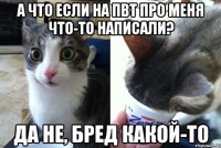 А ЧТО ЕСЛИ НА ПВТ ПРО МЕНЯ ЧТО-ТО НАПИСАЛИ? ДА НЕ, БРЕД КАКОЙ-ТО