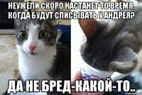 Неужели скоро настанет то время, когда будут списывать у Андрея? Да не бред-какой-то..