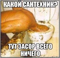 Какой сантехник? Тут засор всего ничего