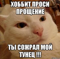 Хоббит проси прощение Ты сожрал мой тунец !!!