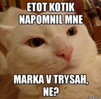 etot kotik napomnil mne marka v trysah, ne?