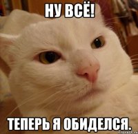 Ну всё! Теперь я обиделся.