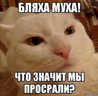 Бляха муха! Что значит мы просрали?