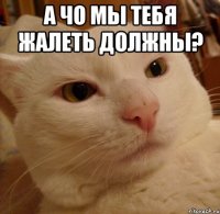 А чо мы тебя жалеть должны? 