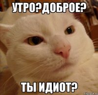 Утро?Доброе? Ты идиот?