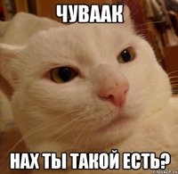 ЧУВААК Нах ты такой есть?