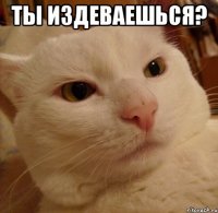 ты издеваешься? 