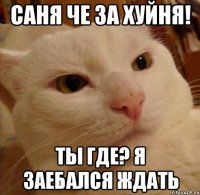 Саня че за хуйня! ты где? я заебался ждать