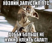 хозяин запустил птс добби больше не нужно клеить салат!