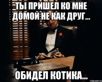 Ты пришел ко мне домой не как друг... Обидел котика...