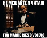 НЕ Мешайте Я читаю tua madre cazzo volevo