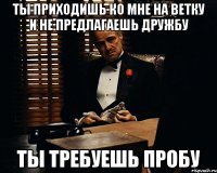 Ты приходишь ко мне на ветку и не предлагаешь дружбу ты требуешь пробу