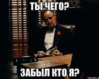 Ты чего? Забыл кто я?