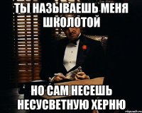 Ты называешь меня школотой Но сам несешь несусветную херню