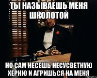 Ты называешь меня школотой Но сам несешь несусветную херню и агришься на меня