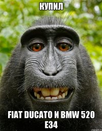 Купил Fiat Ducato и BMW 520 E34