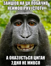 Зайшов на Цк побачив неймовірну істоту А оказується Циган 2дня не мився