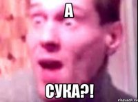 а сука?!