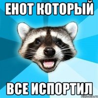 енот который все испортил