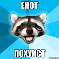 енот похуист