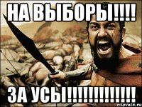 на выборы!!!! за усы!!!!!!!!!!!!!