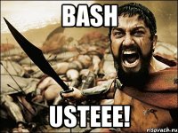 Bash Usteee!