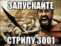 Запускайте Стрилу 3001