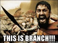  THIS IS BRANCH!!!