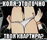 коля, это точно твоя квартира?