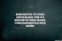 Всем известно, что слоны боятся мышей. Этим-то и пользуются самцы мышей, чтобы выпендриться перед бабами.