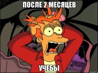 после 2 месяцев учебы