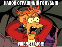 Какой страшный голубь!!! Уже убегаю!!!