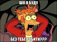 шо я буду без тебе робити???