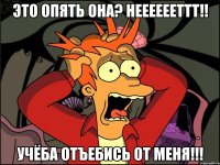 это опять она? нееееееттт!! учёба отъебись от меня!!!