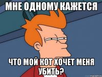 мне одному кажется что мой кот хочет меня убить?