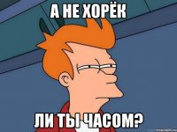 А не хорёк ли ты часом?