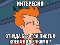 интересно откуда берутся листья клена под елками?