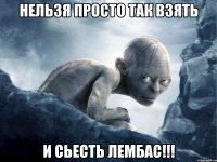 нельзя просто так взять и сьесть лембас!!!