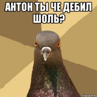 Антон ты че дебил шоль? 