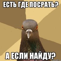 есть где посрать? а если найду?